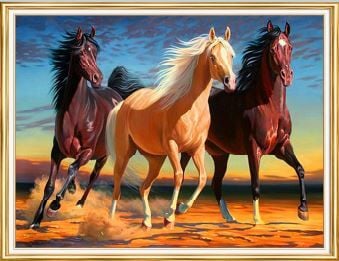 Hobby Mood Boncuk Yapıştırma Goblen Kiti 50x65 cm SGK73588