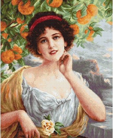 Luca-s Art Goblen Baskısız Kanaviçe Kiti B546