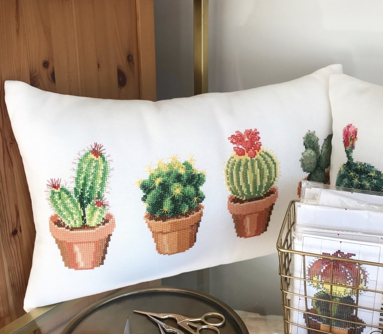 Kaktüs İşleme Kit