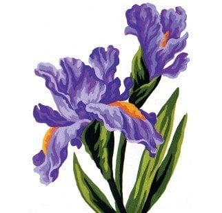 20x25 cm Collection D'art Baskılı Goblen 3286