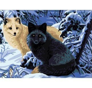 40x50 cm Collection D'art Baskılı Goblen 10514